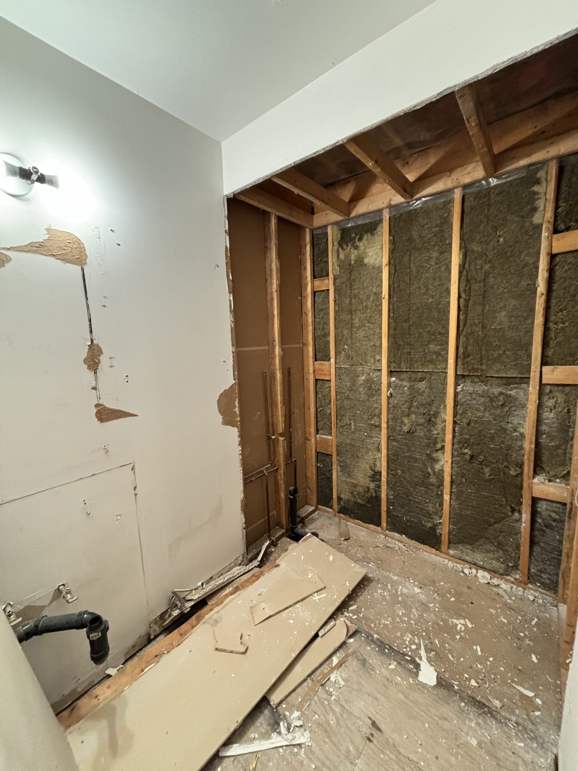 During — Etobicoke Contemporary Bathroom Remodel