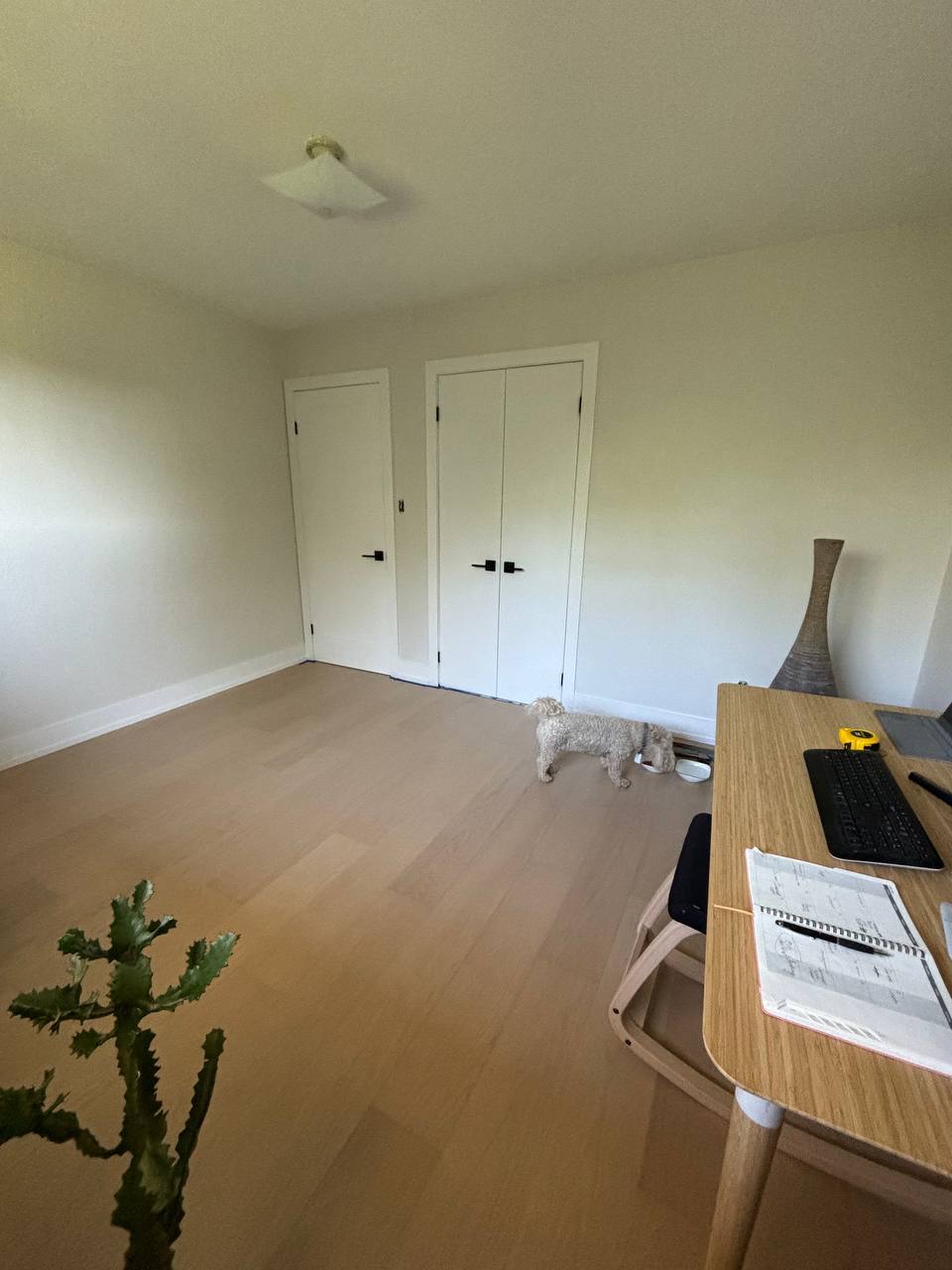 Entire house renovation bedroom closet doors