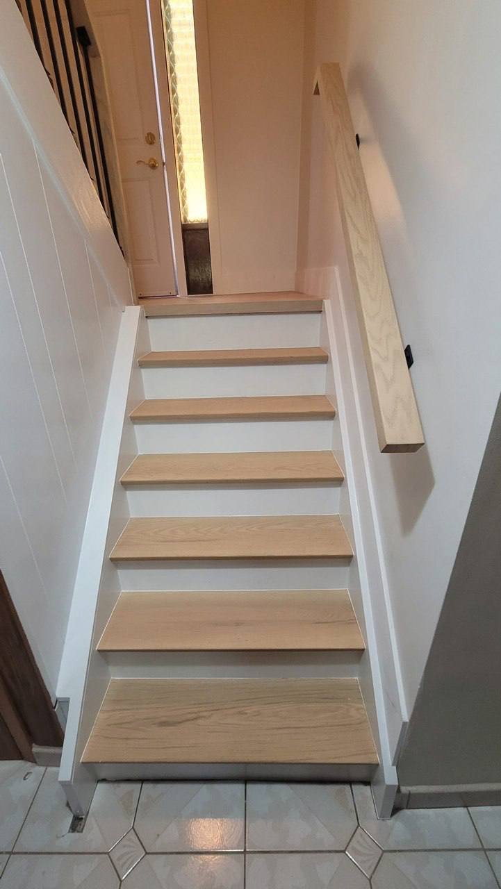 Entire house renovation dog in modern room