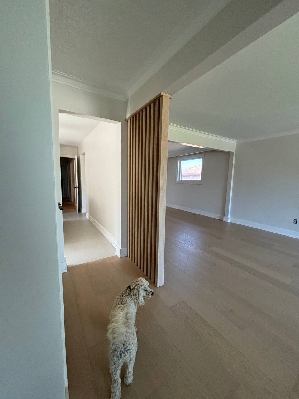 Entire house renovation living room flooring