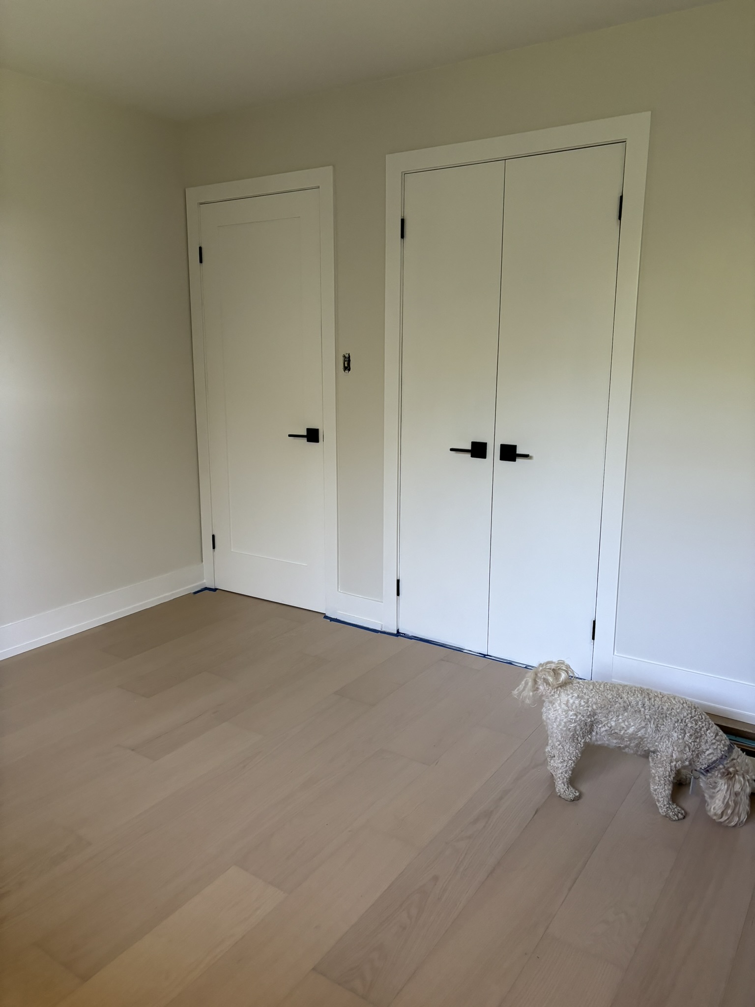 Guest bedroom renovation entire house