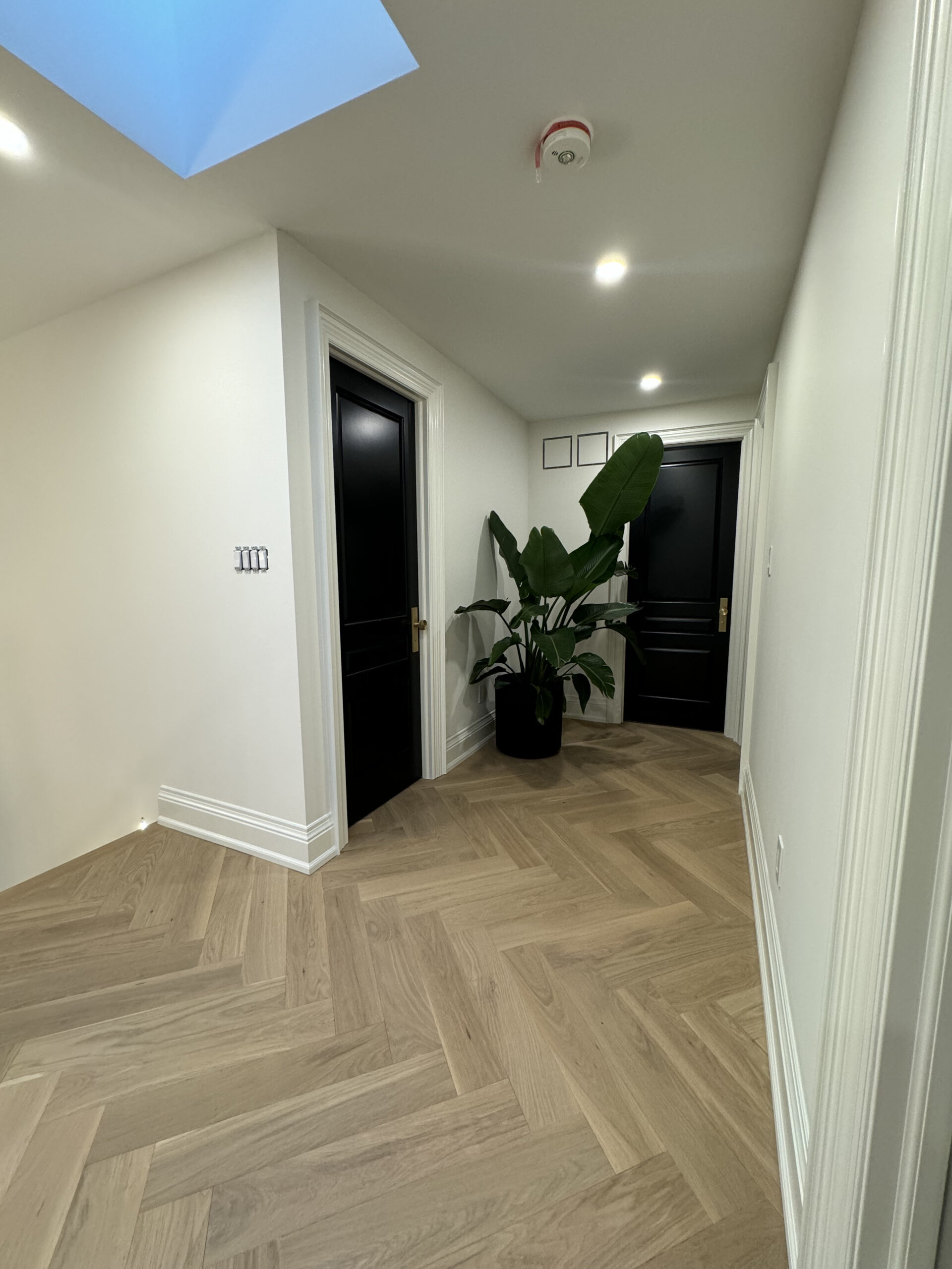 Hallway with herringbone flooring and modern plant decor
